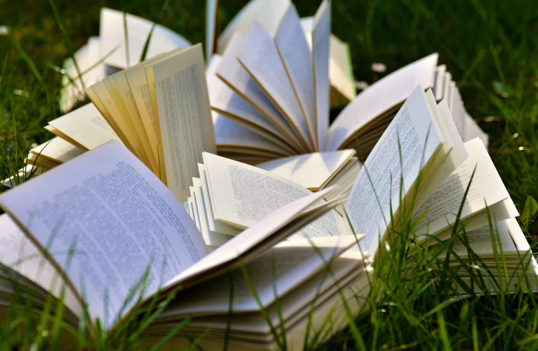 книги на траві